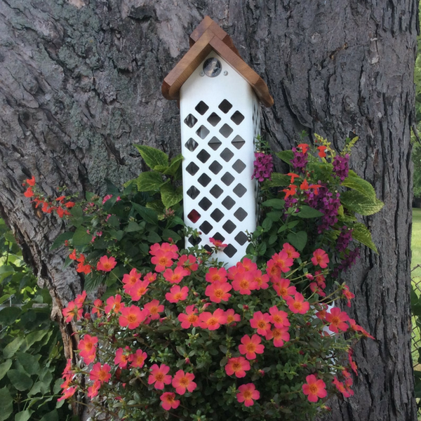 A 3-way Lattice Planter attached to a tree