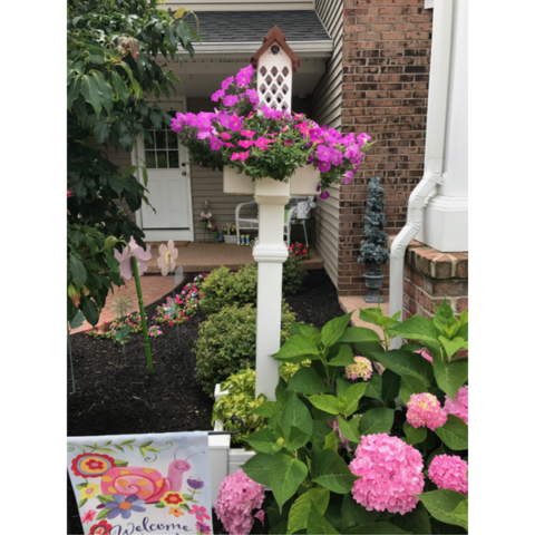 A 4-way Lattice Planter with vibrant pink blooms brightens up a front garden