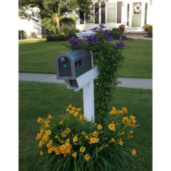 A Mailbox Post planted at the back and with flowers planted around the base